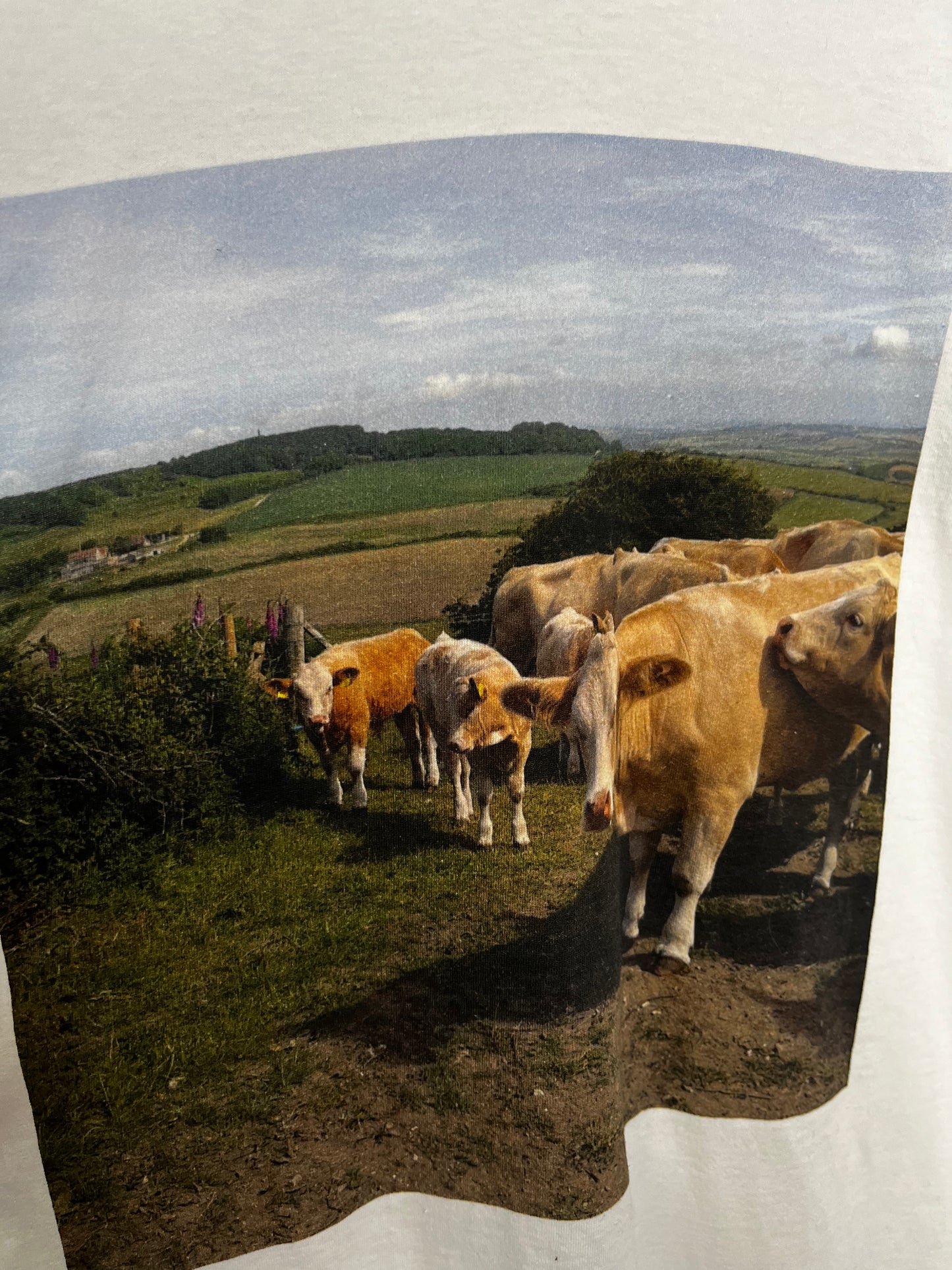 Cow Print White Vintage T-Shirt
