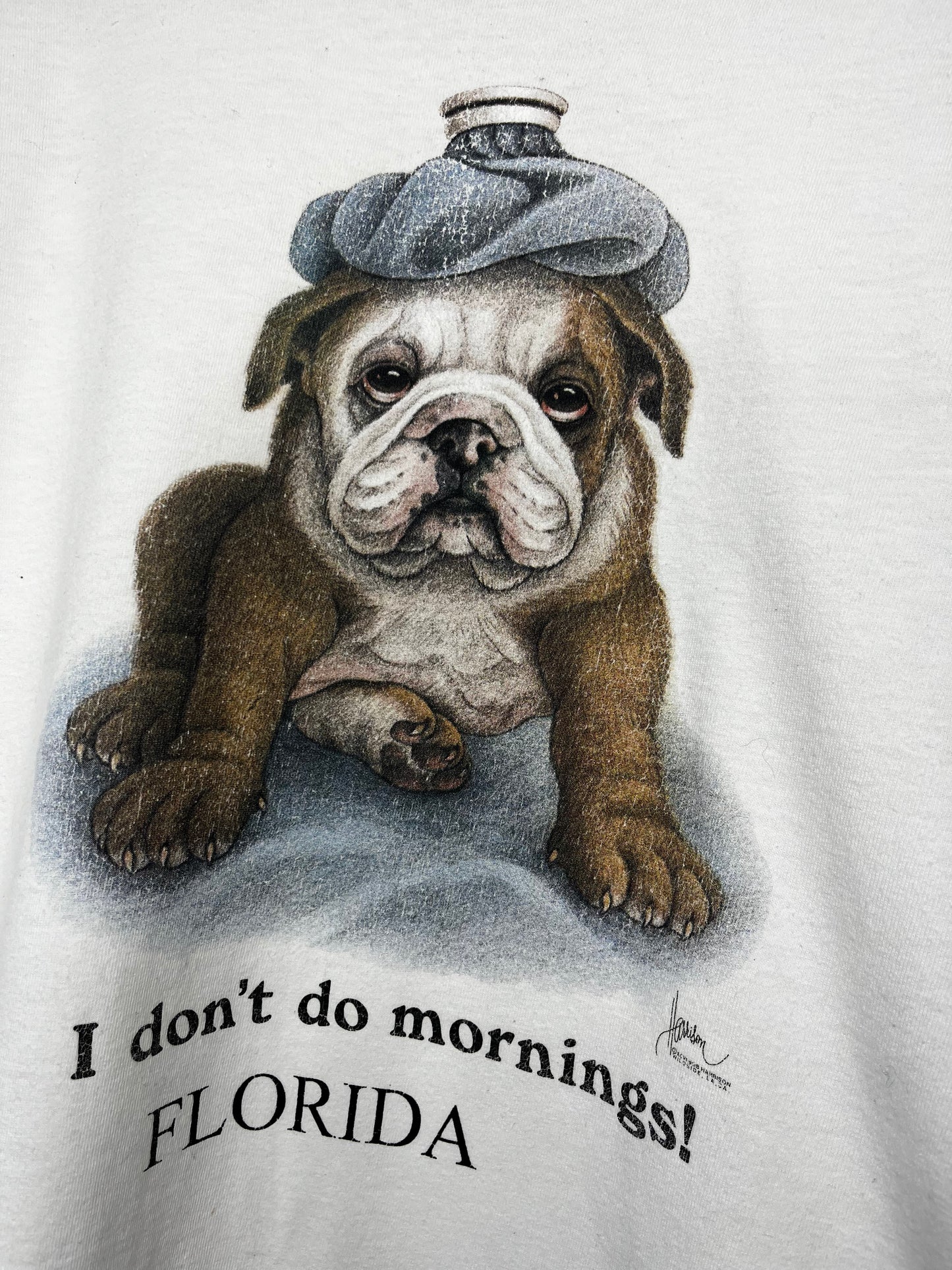 1990s I Don’t Do Mornings T-Shirt