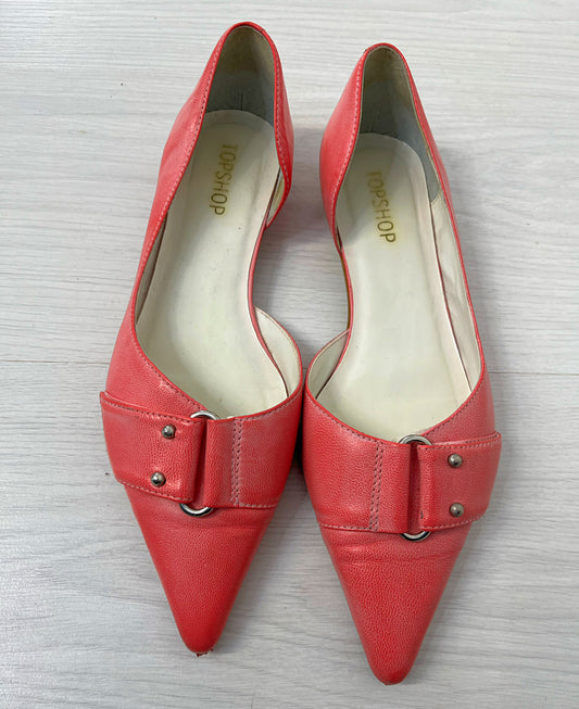 Pink Point Toe Shoe